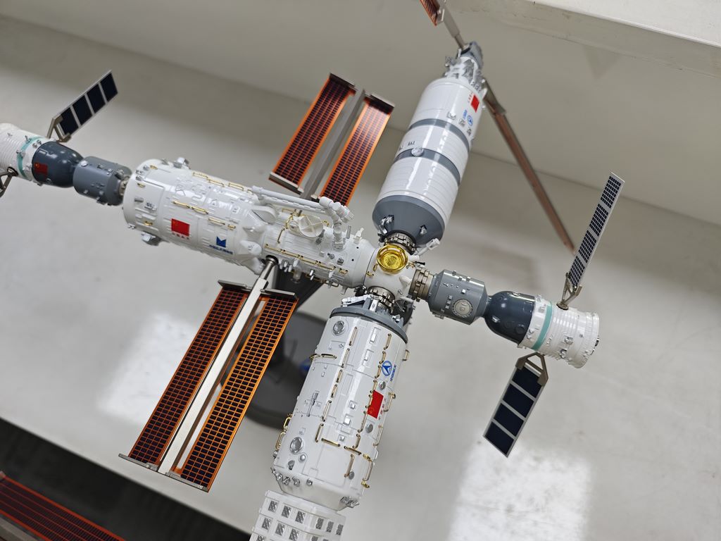1:1 Aircraft Scale Model Custom Made